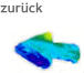 zurück