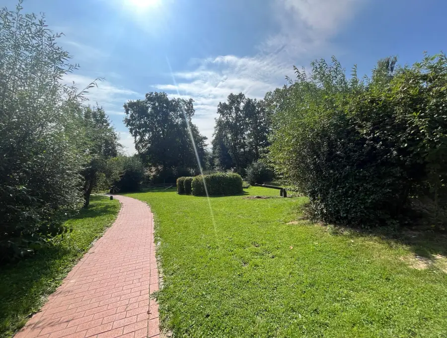 Ein geschwungener Klinkerweg führt durch die Wiese des Gartens, gesäumt von Hecken und Bäumen
