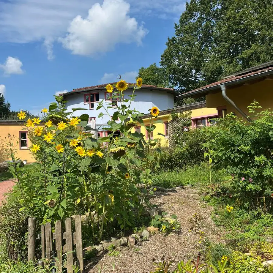 Sonnenblumen vor dem gelben Gebäude des Kinderhauses